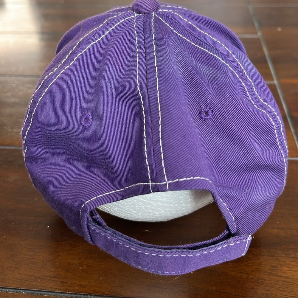 Panthers Ball Cap Adjustable Baseball Cap Trucker… - image 5